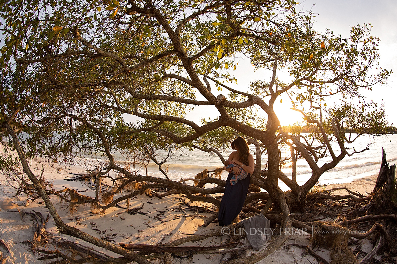 Pensacola Newborn Photographer Newborn Baby Photographs in Pensacola, Florida
