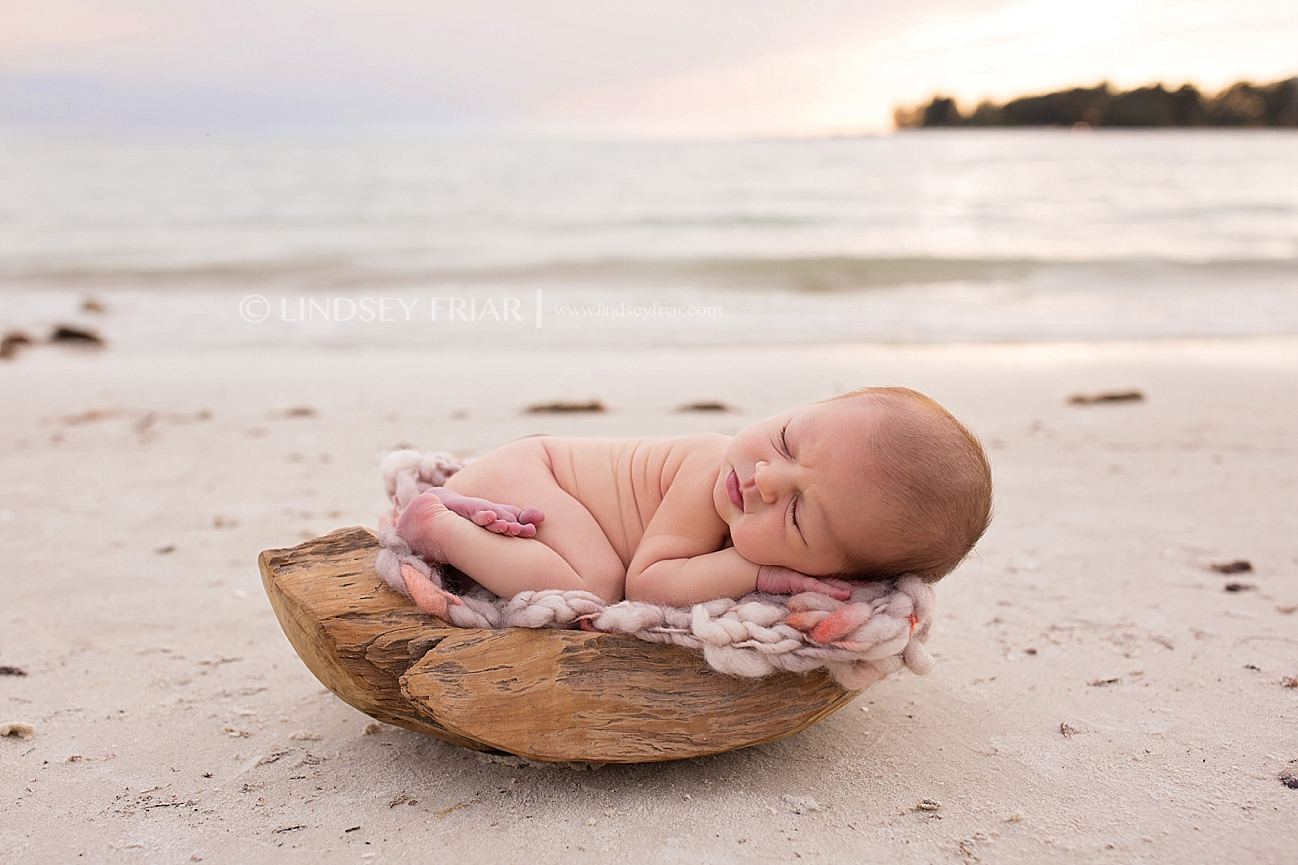 Pensacola Newborn Photographer Newborn Baby Photographs in Pensacola, Florida