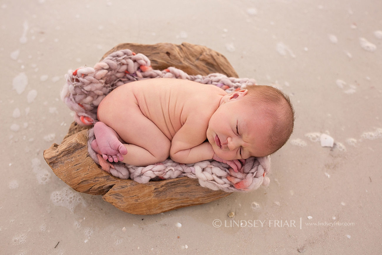 Pensacola Newborn Photographer Newborn Baby Photographs in Pensacola, Florida