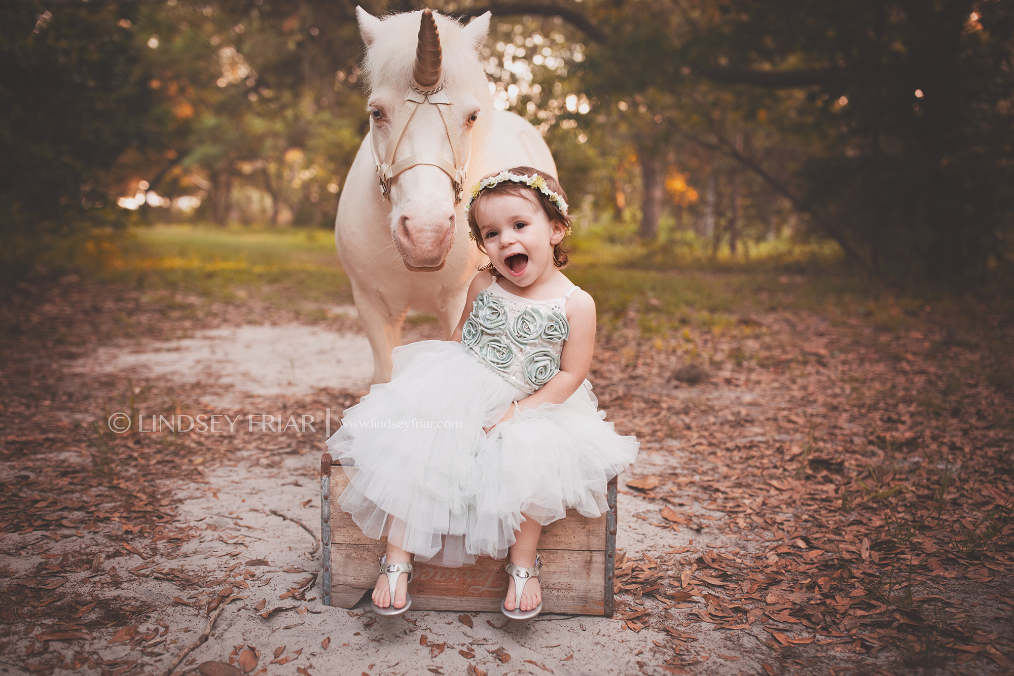 Pensacola, Florida Child Photographer