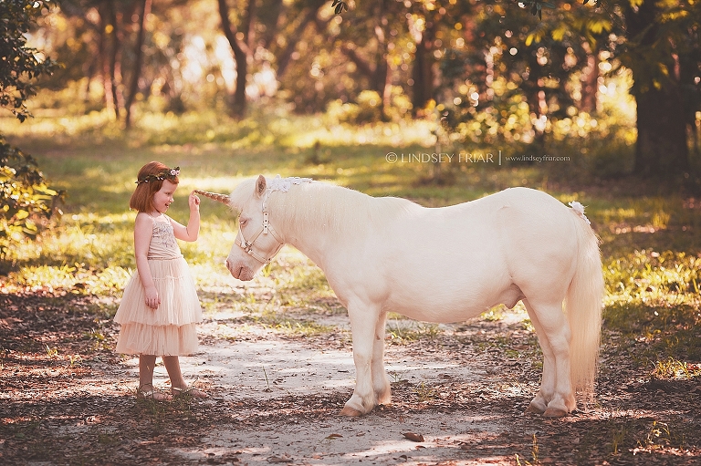 Pensacola, Florida Unicorn Mini Sessions