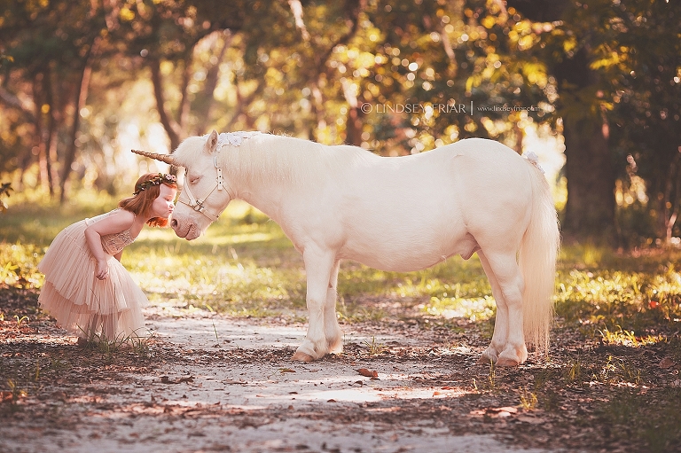 Pensacola, Florida Unicorn Mini Sessions