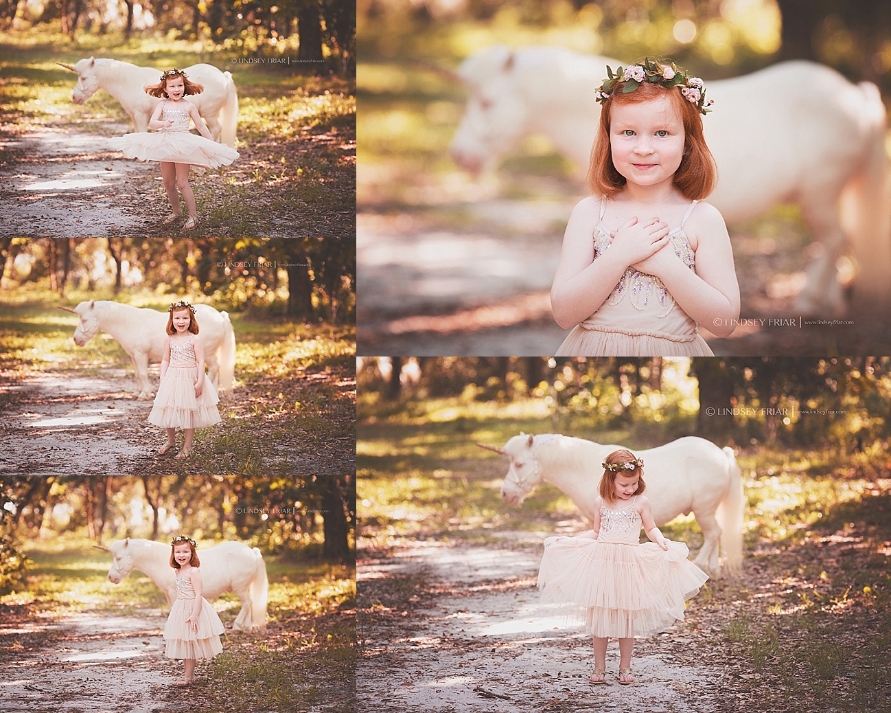 Pensacola, Florida Unicorn Mini Sessions Pensacola, Florida Unicorn Mini Sessions