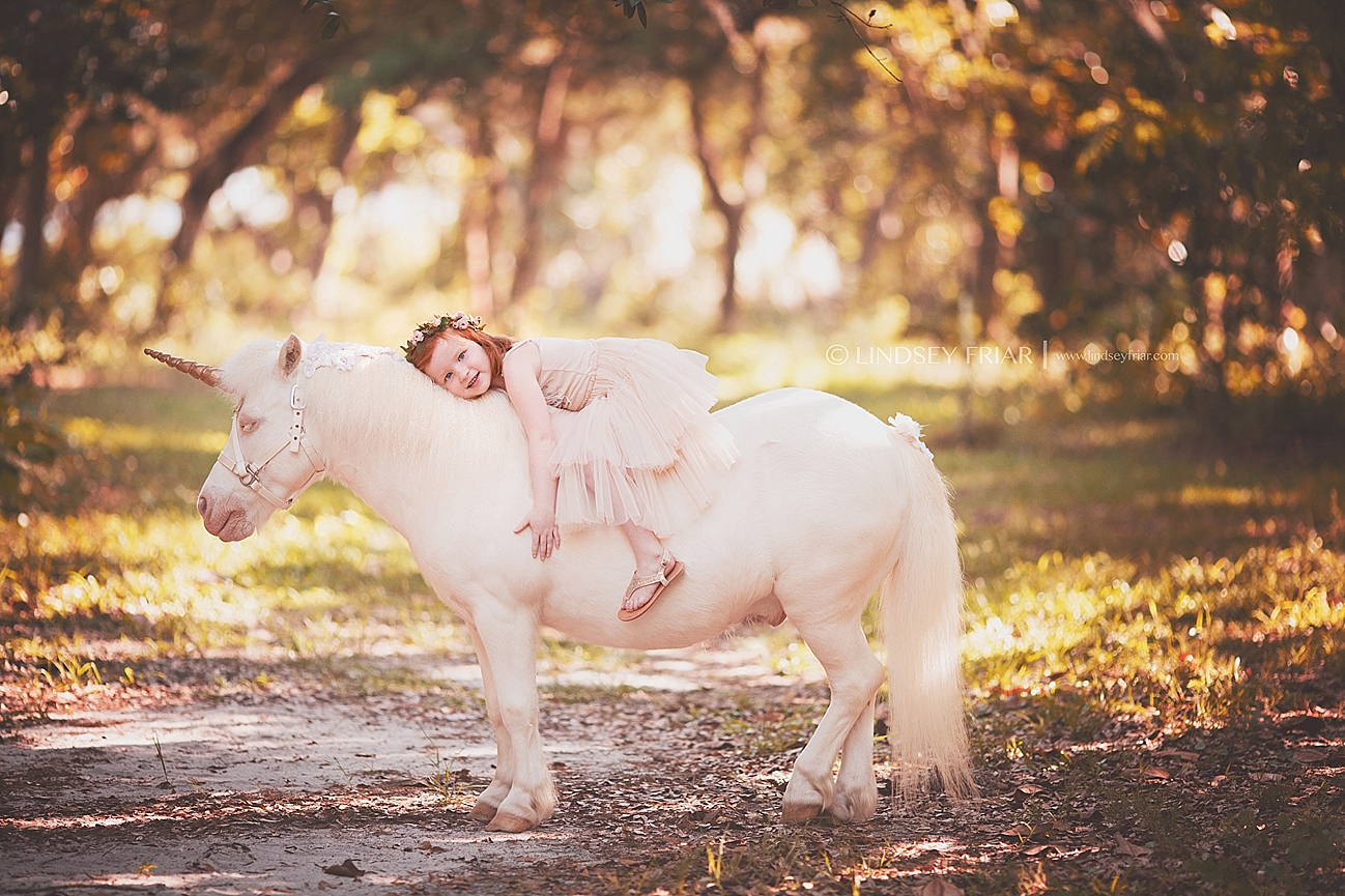 Pensacola, Florida Unicorn Mini Sessions Pensacola, Florida Unicorn Mini Sessions