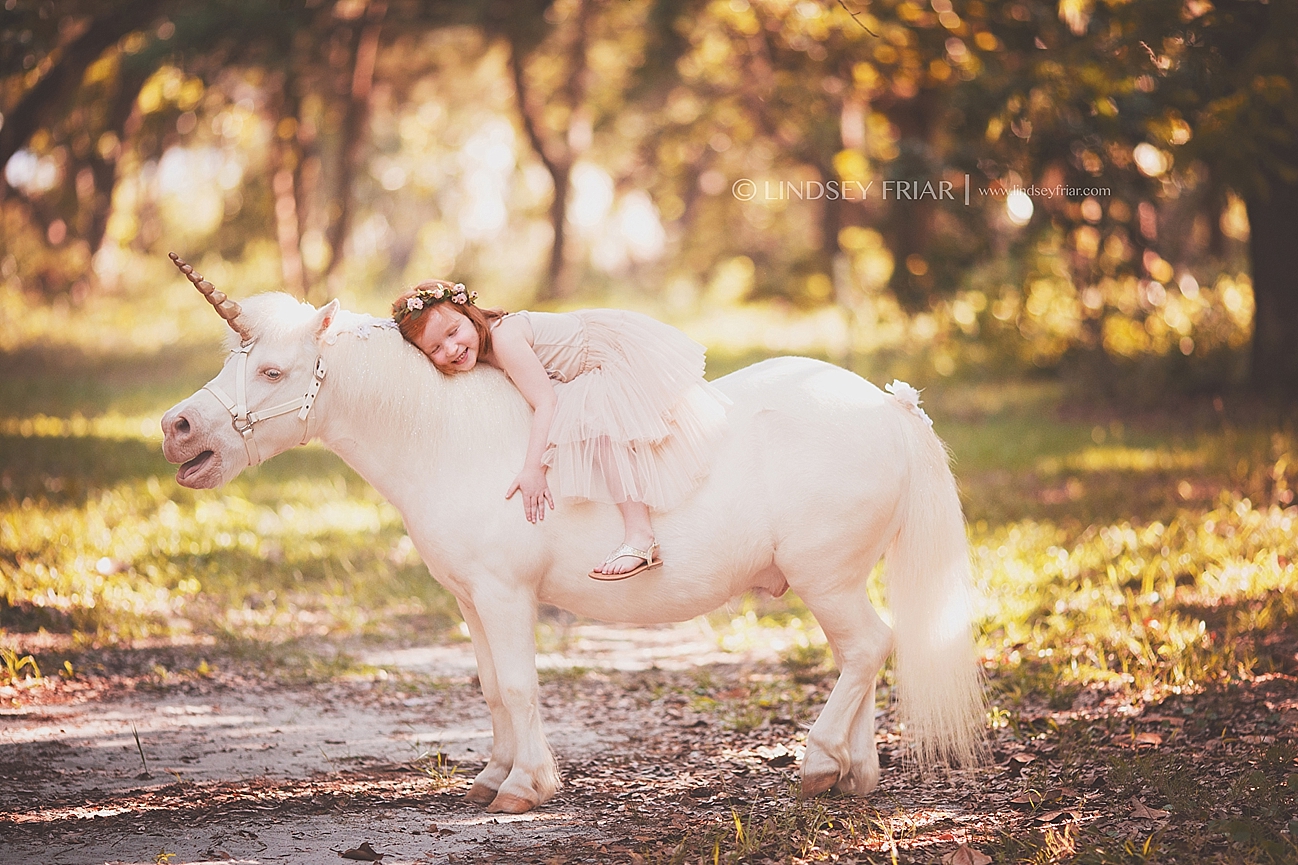 Pensacola, Florida Unicorn Mini Sessions Pensacola, Florida Unicorn Mini Sessions