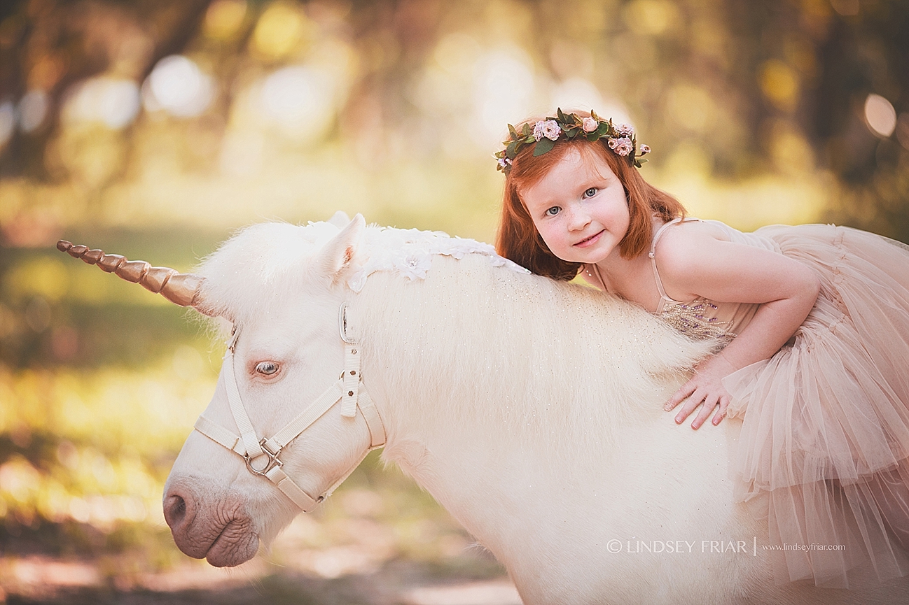 Pensacola, Florida Unicorn Mini Sessions Pensacola, Florida Unicorn Mini Sessions