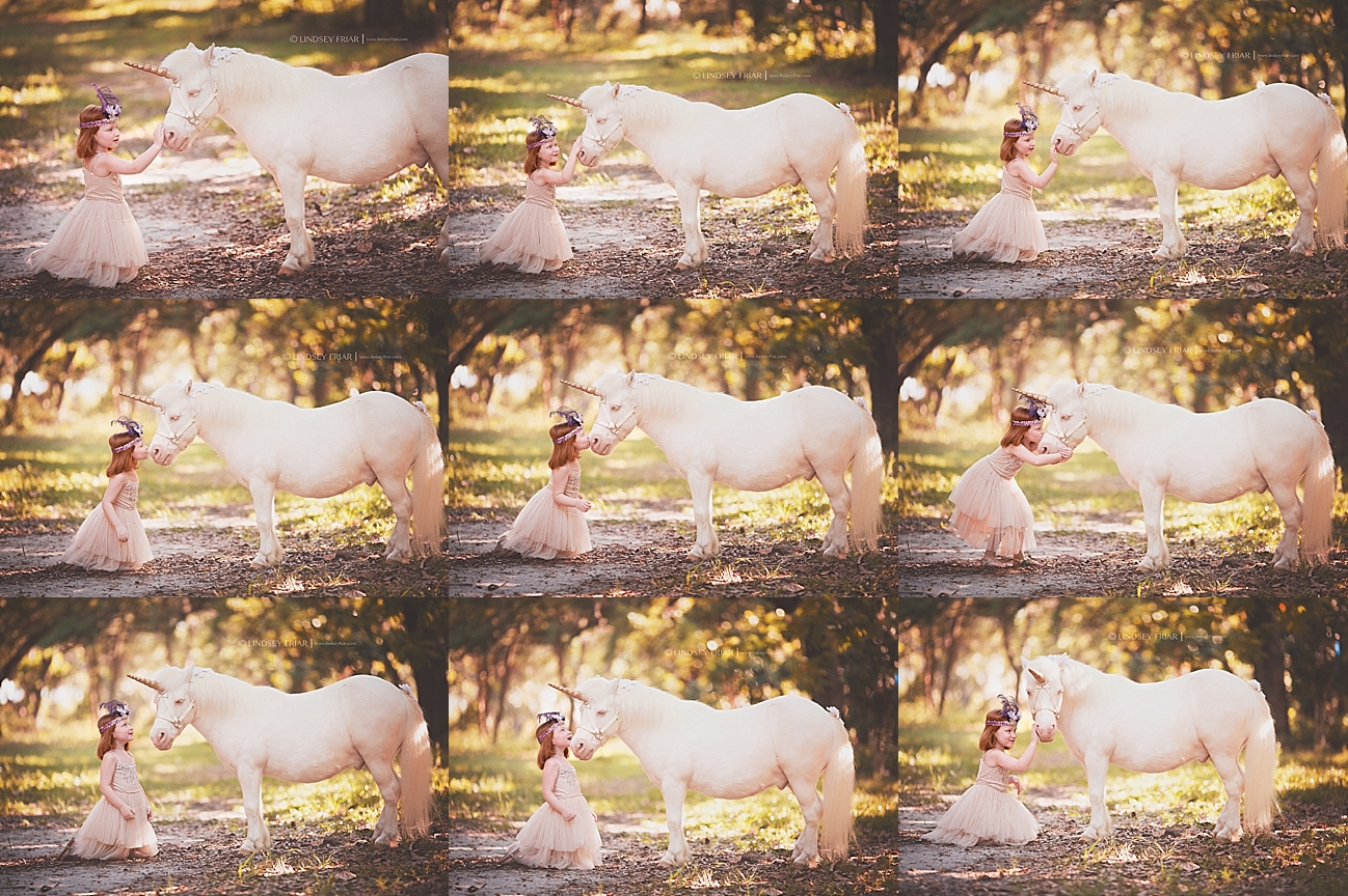 Pensacola Child Photographer Pensacola, Florida Unicorn Mini Sessions