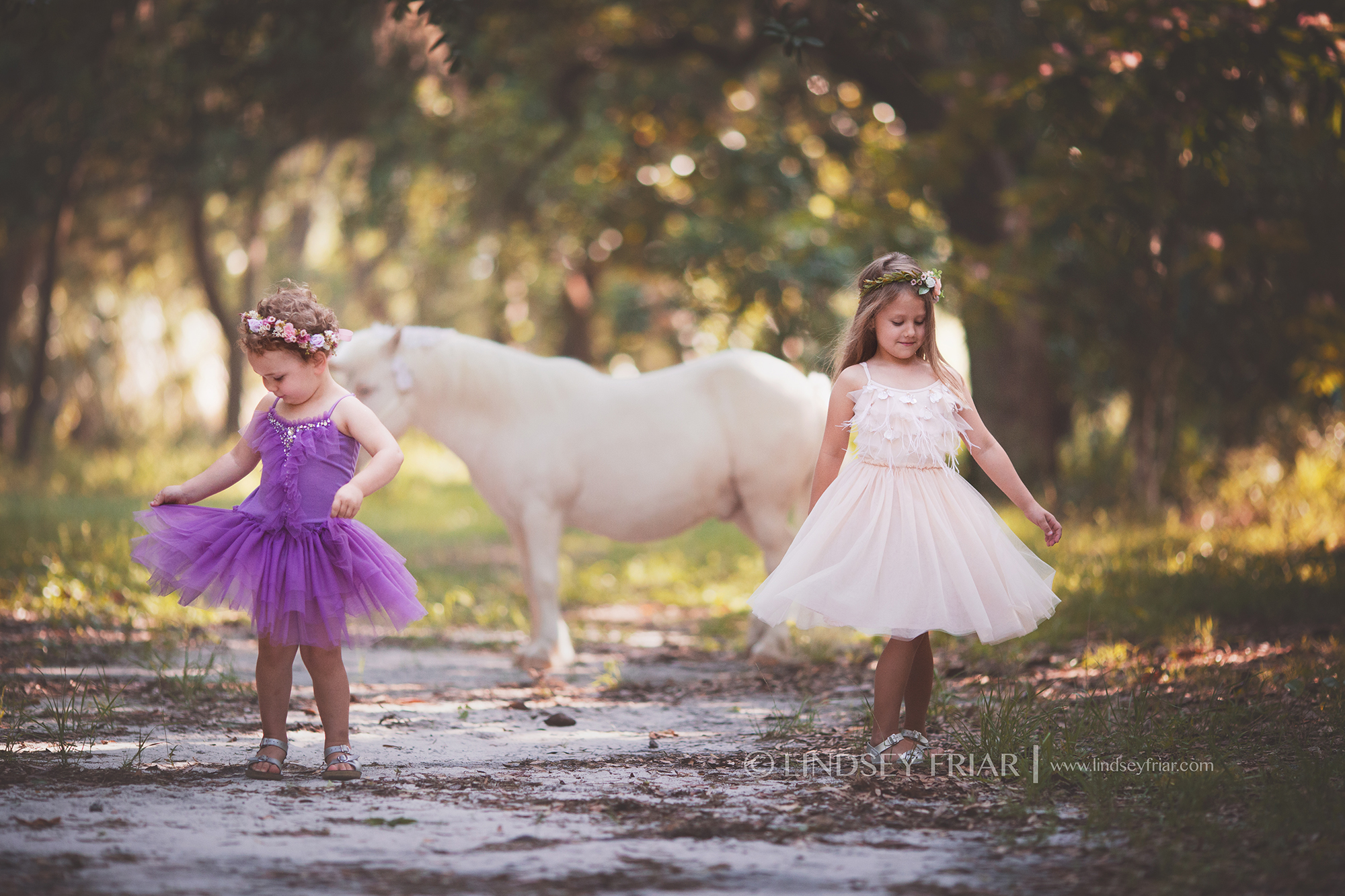 Pensacola, FL Unicorn Mini Session Pensacola, FL Unicorn Mini Session