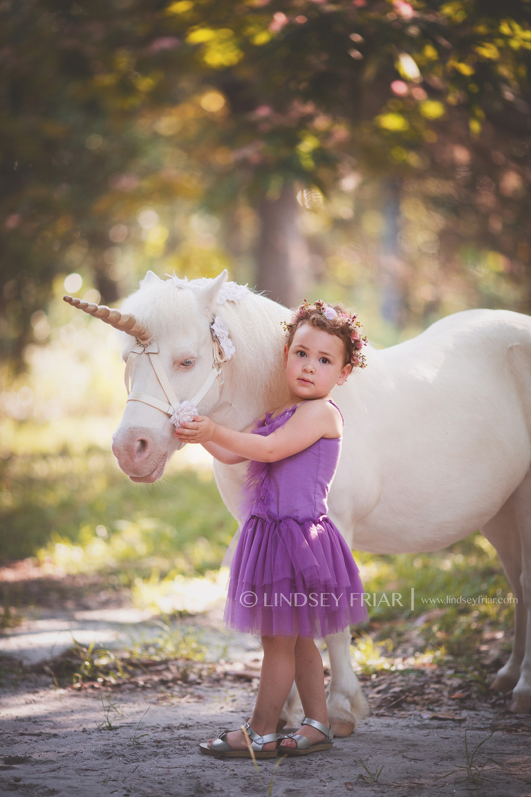 Pensacola, FL Unicorn Mini Session