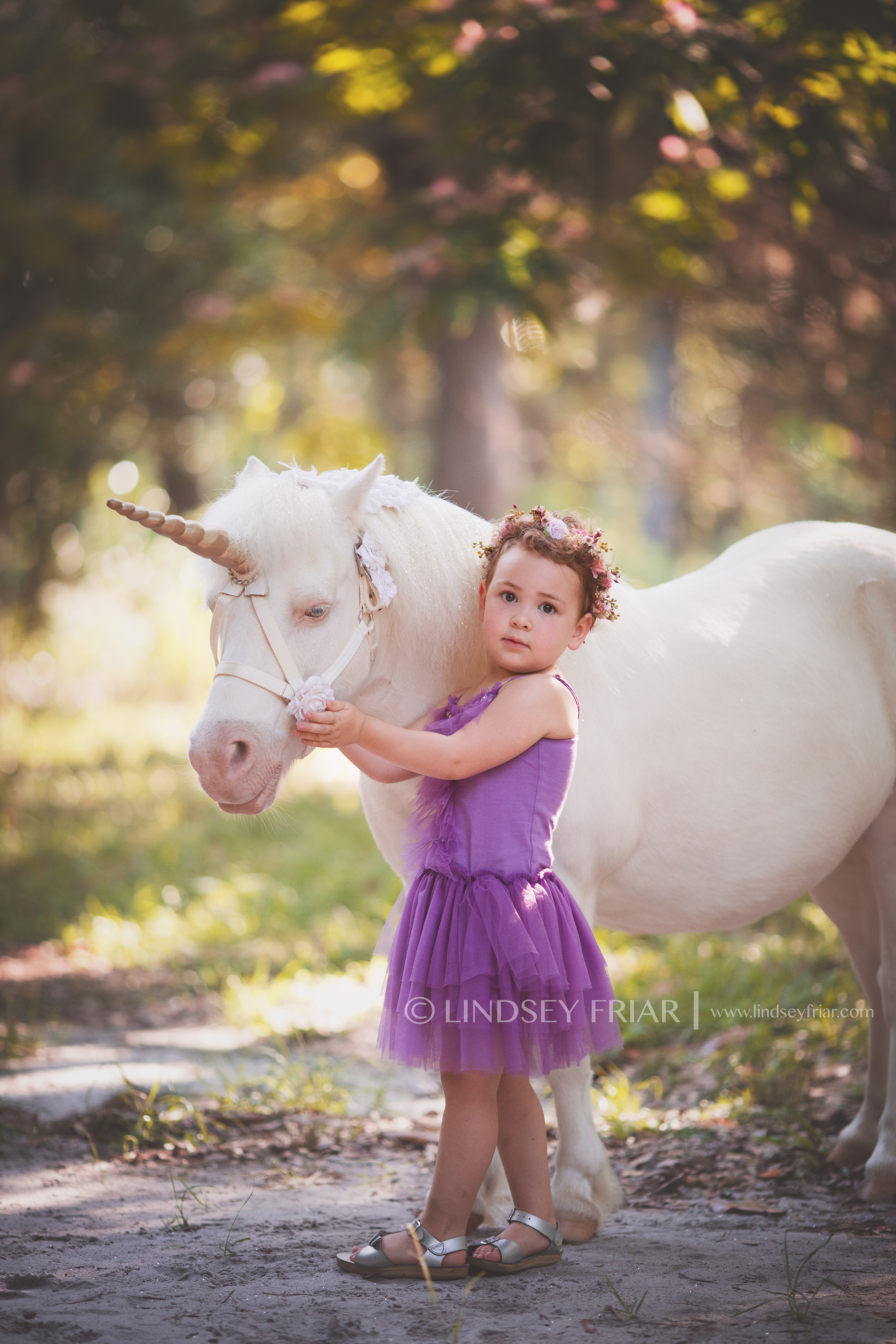 Pensacola, FL Unicorn Mini Session Pensacola, FL Unicorn Mini Session