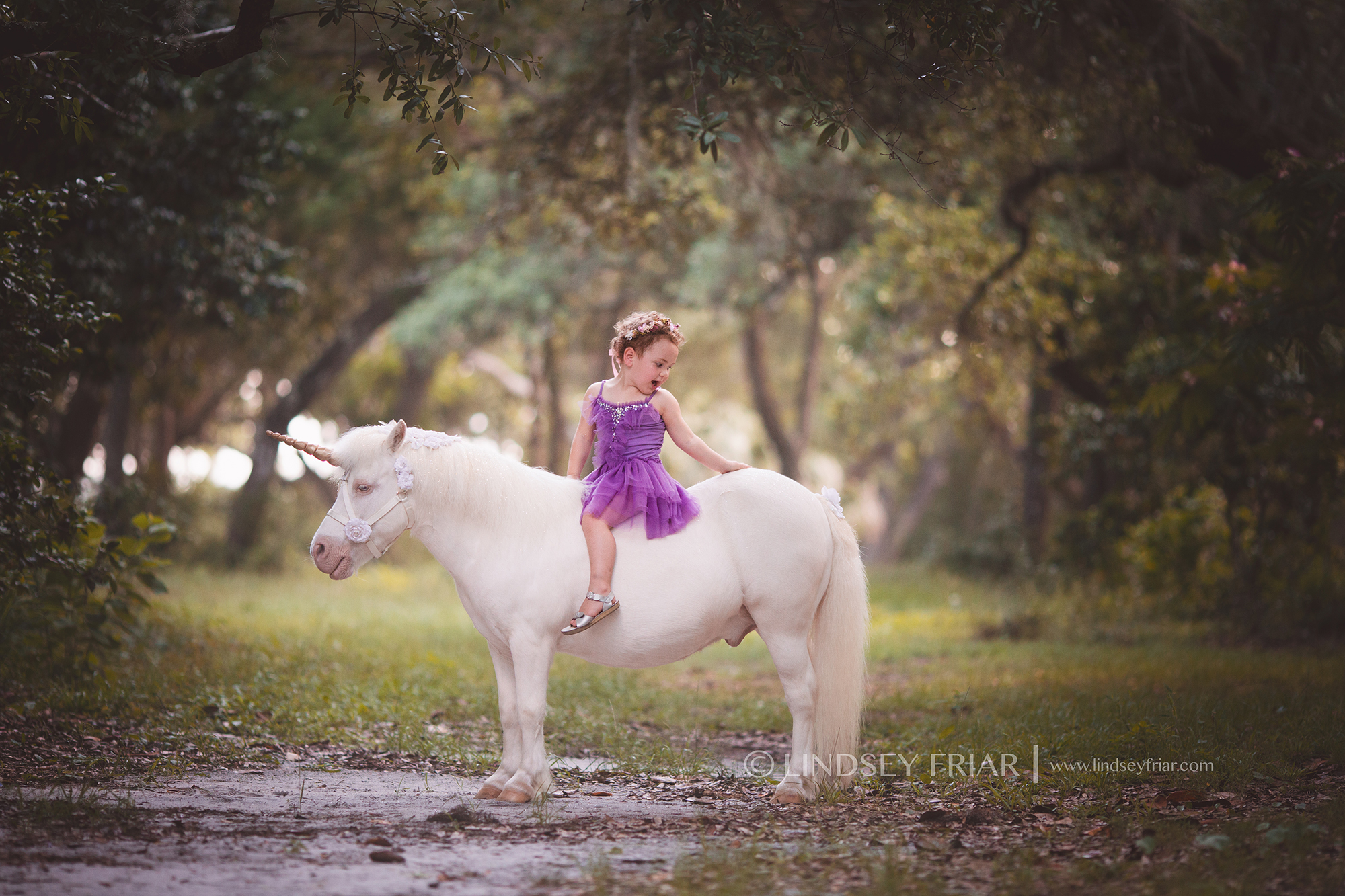 Pensacola, FL Unicorn Mini Session Pensacola, FL Unicorn Mini Session