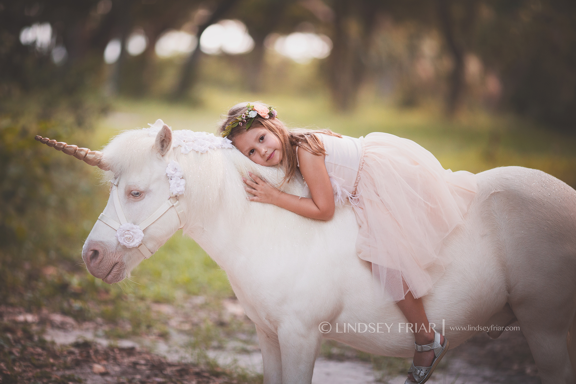 Pensacola, FL Unicorn Mini Session Pensacola, FL Unicorn Mini Session