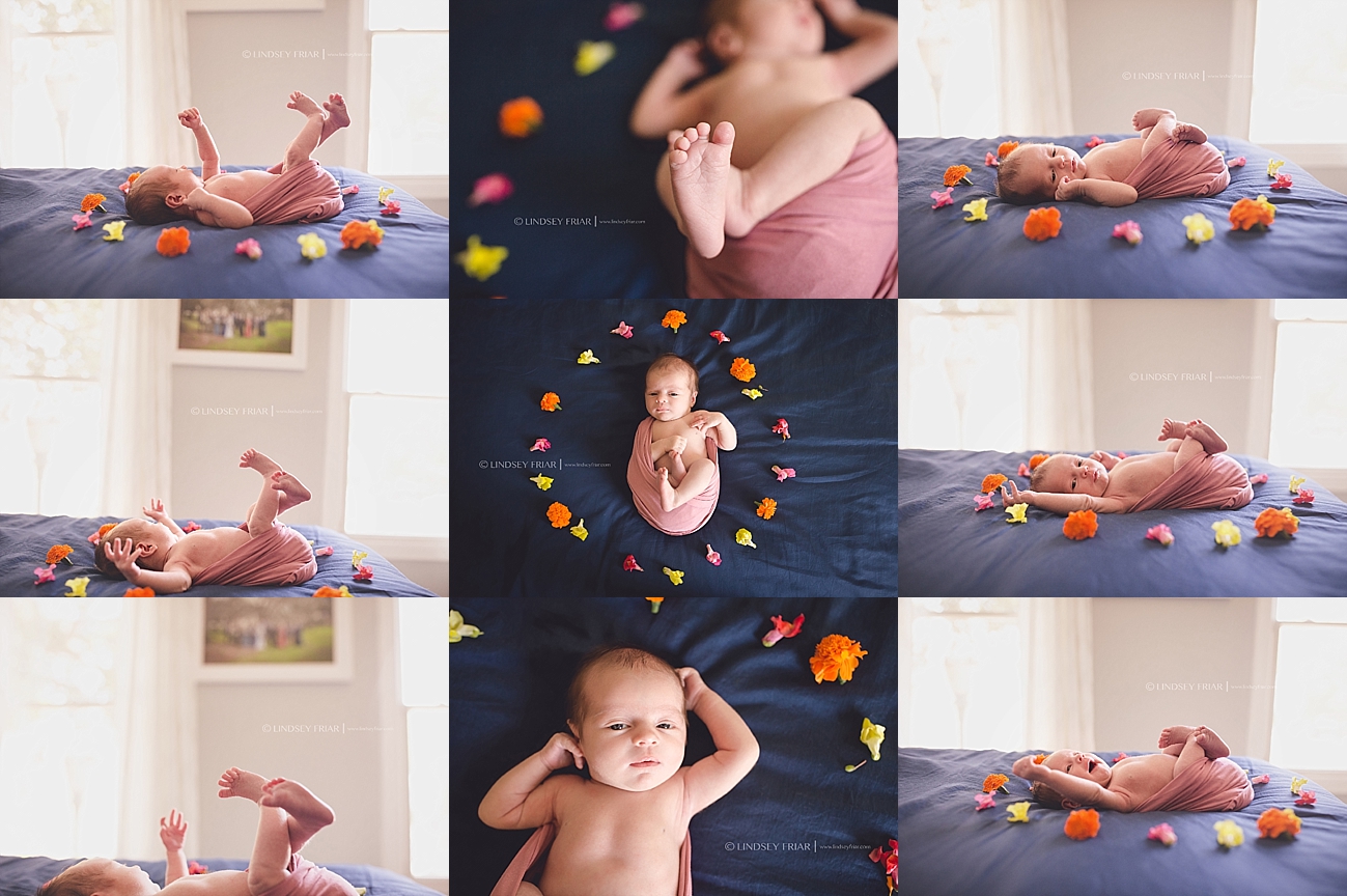 Newborn Baby Photographs in Pensacola, Florida