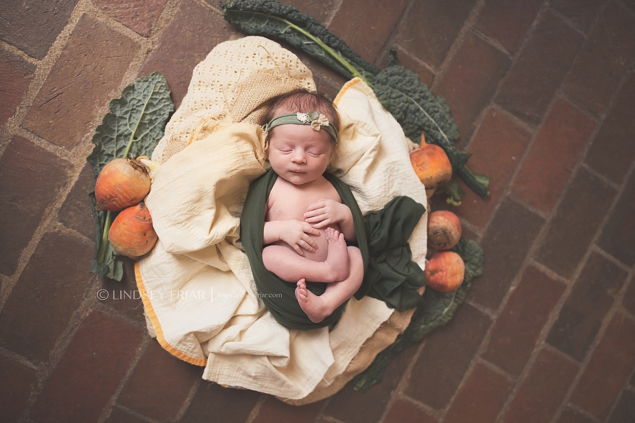 Newborn Baby Photographs in Pensacola, Florida