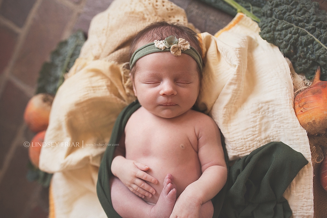 Newborn Baby Photographs in Pensacola, Florida