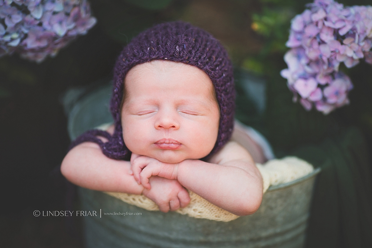 Newborn Baby Photographs in Pensacola, Florida