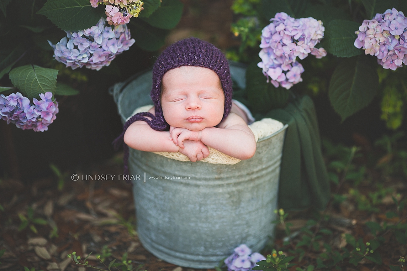 Newborn Baby Photographs in Pensacola, Florida