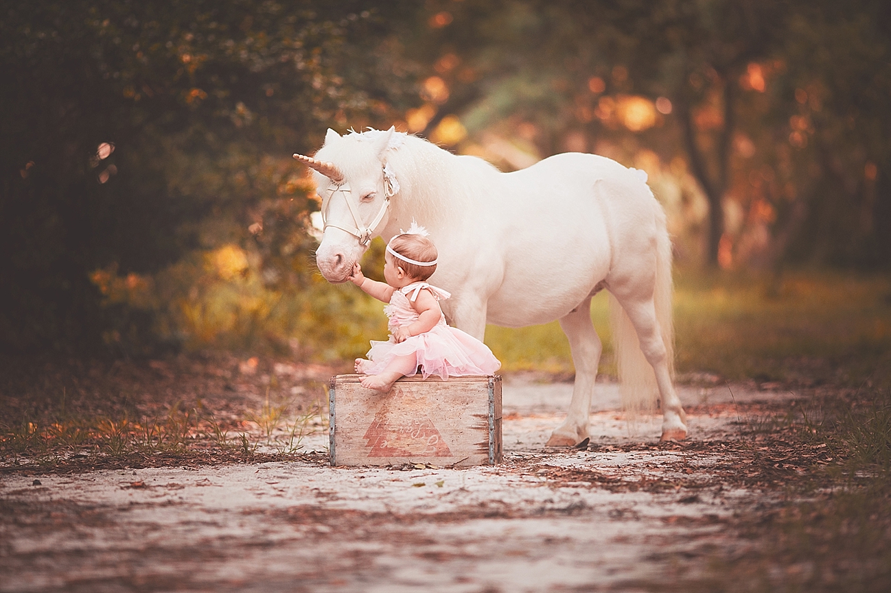 Pensacola Child Photographer Copyright Lindsey Friar Photography 2015 1141