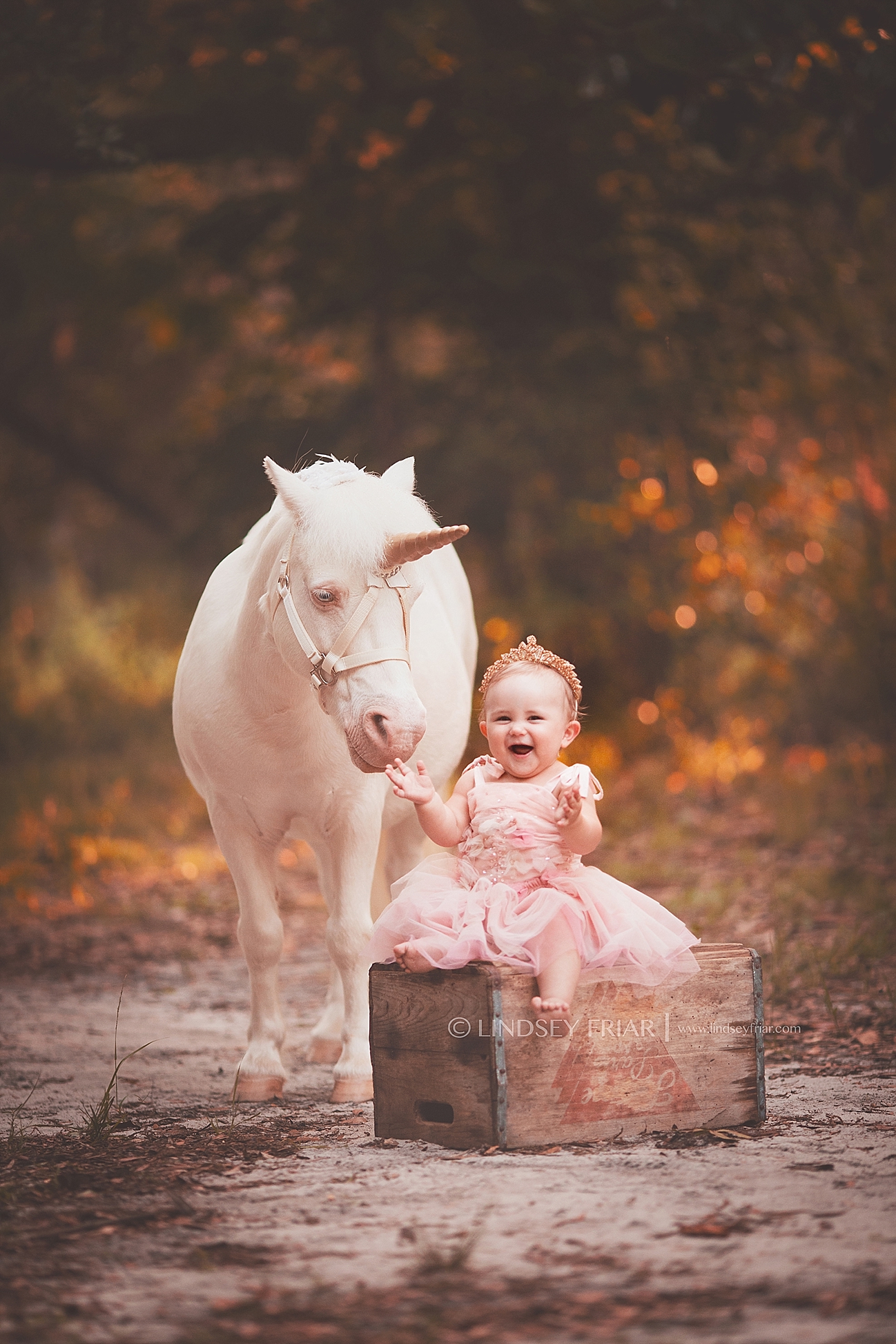 Pensacola Child Photographer Copyright Lindsey Friar Photography 2015 1143