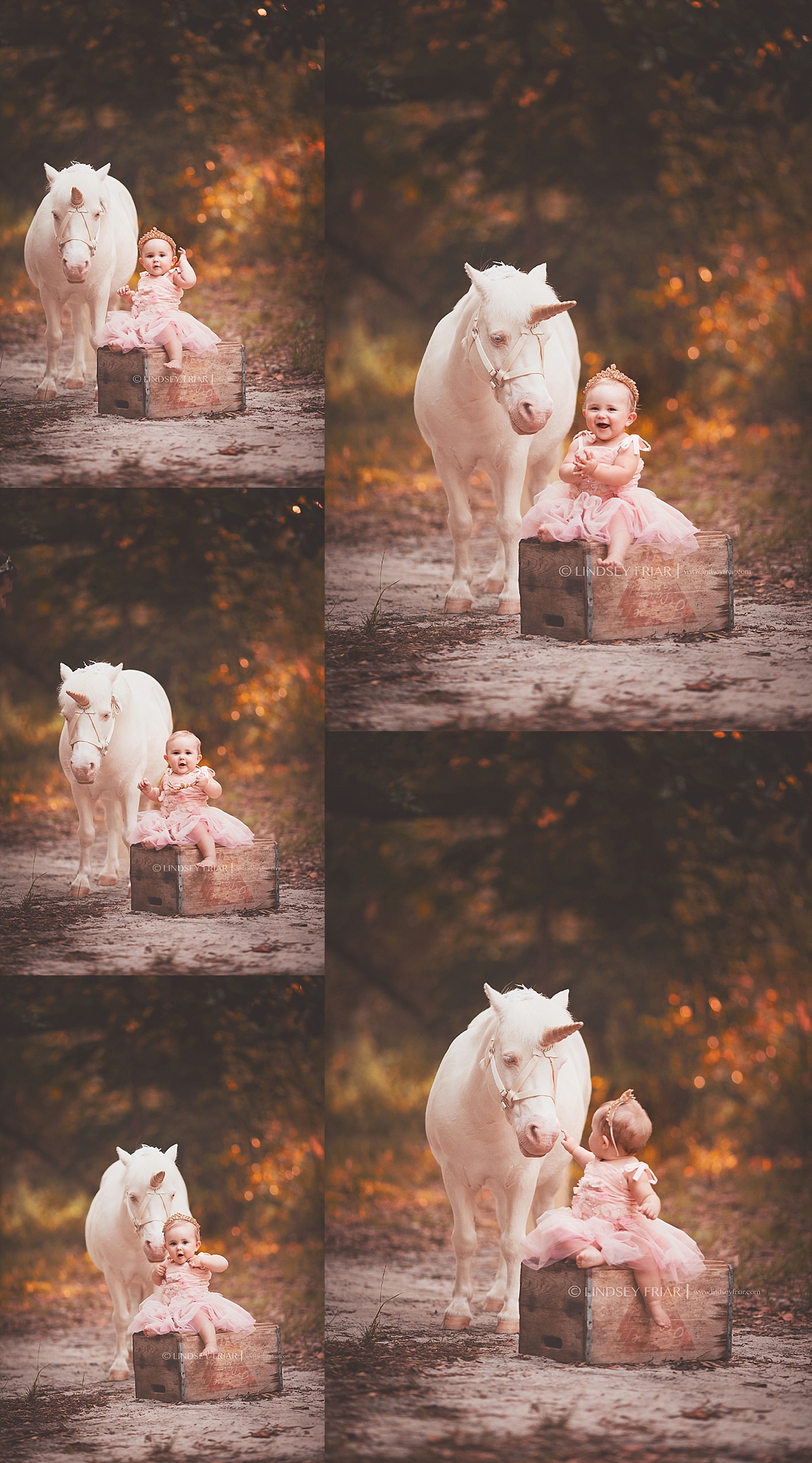 Pensacola Child Photographer Copyright Lindsey Friar Photography 2015 1144