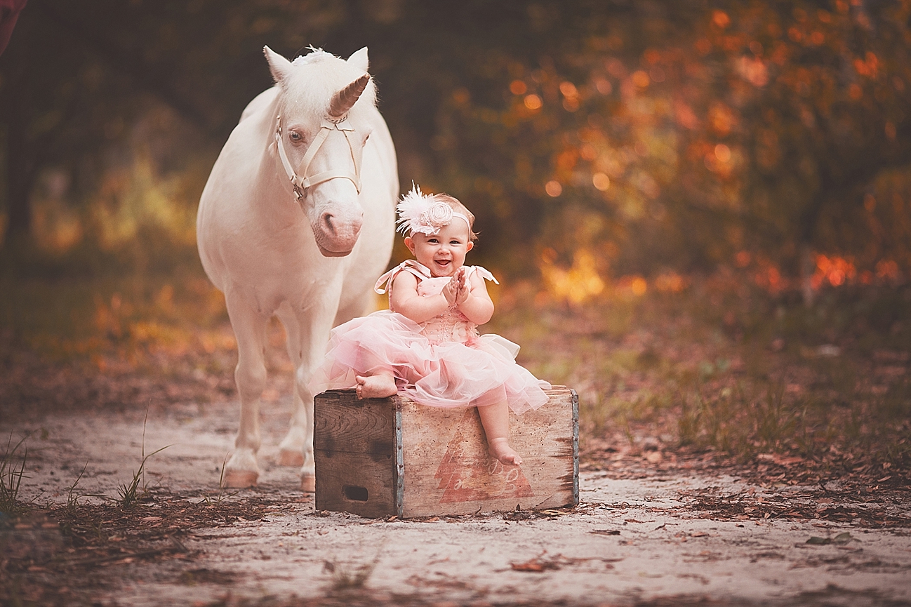 Pensacola Child Photographer Copyright Lindsey Friar Photography 2015 1145