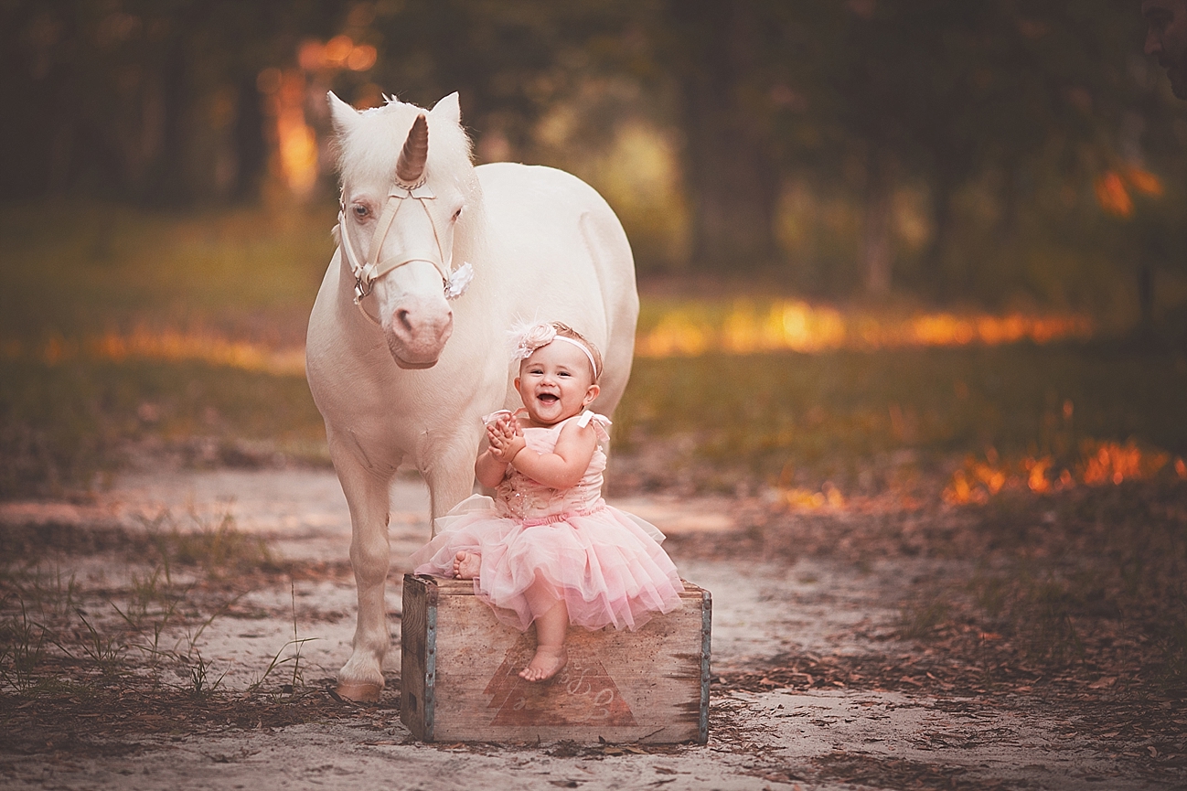 Pensacola Child Photographer Copyright Lindsey Friar Photography 2015 1146