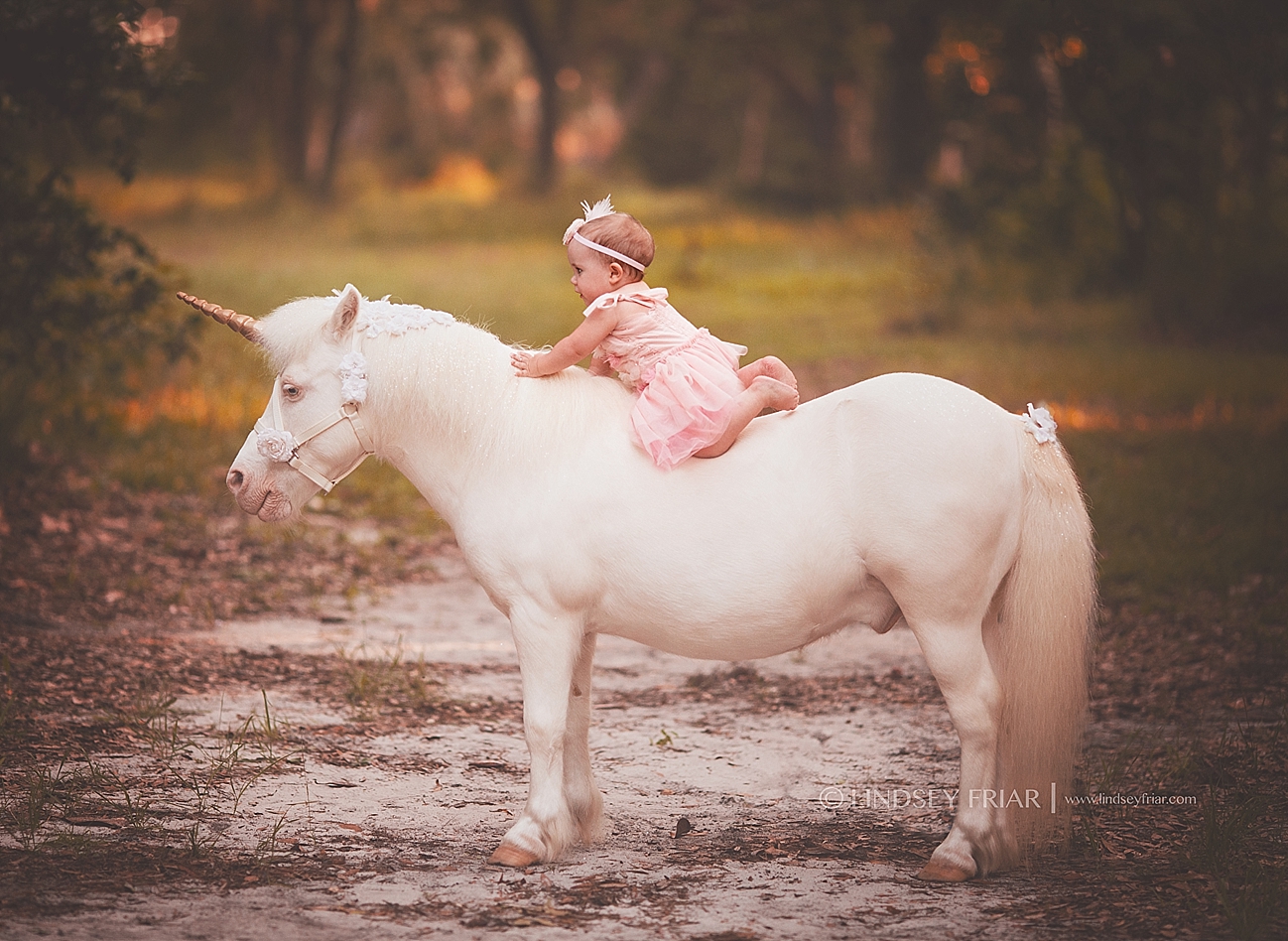 Pensacola Child Photographer Copyright Lindsey Friar Photography 2015 1149