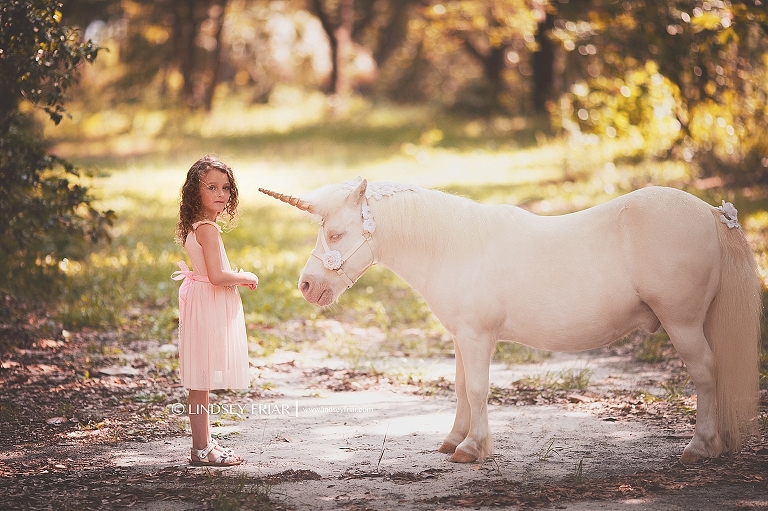 Unicorn Mini Sessions