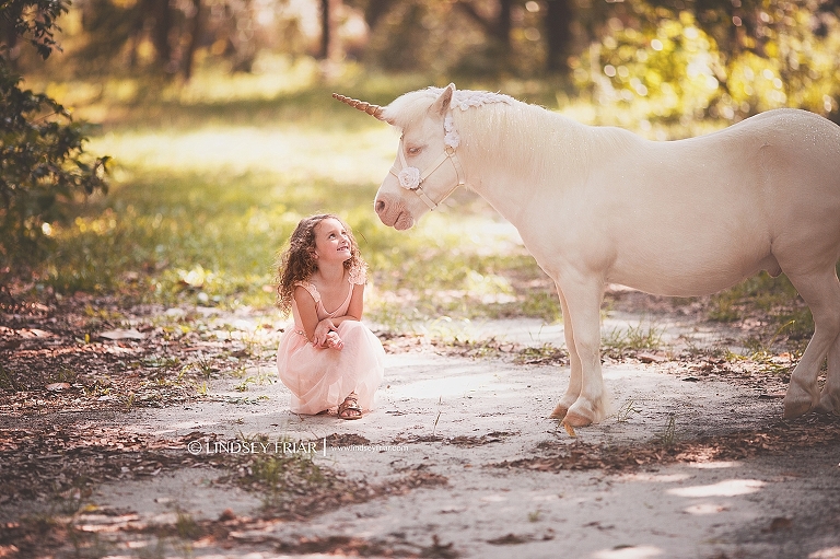 Unicorn Mini Sessions