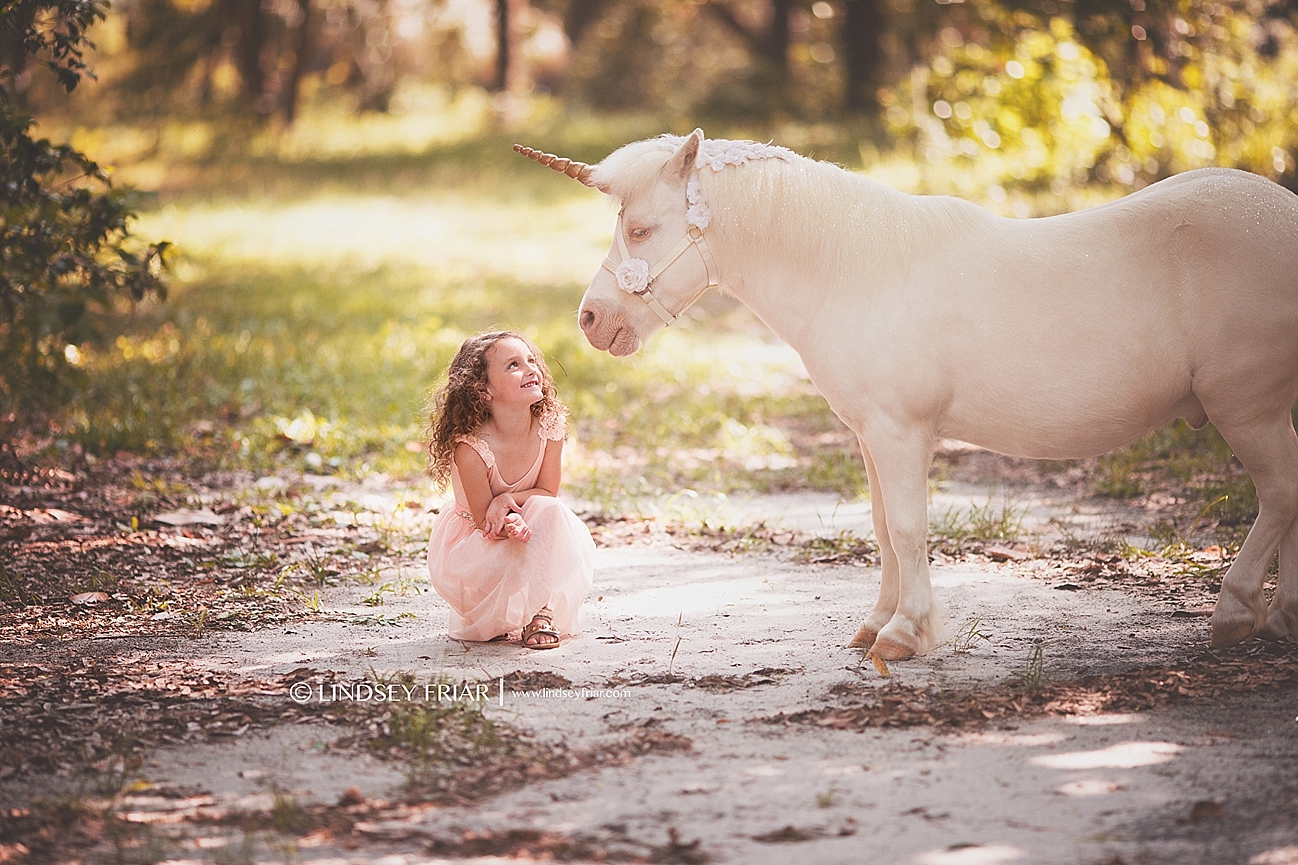 Unicorn Mini Sessions Unicorn Mini Sessions