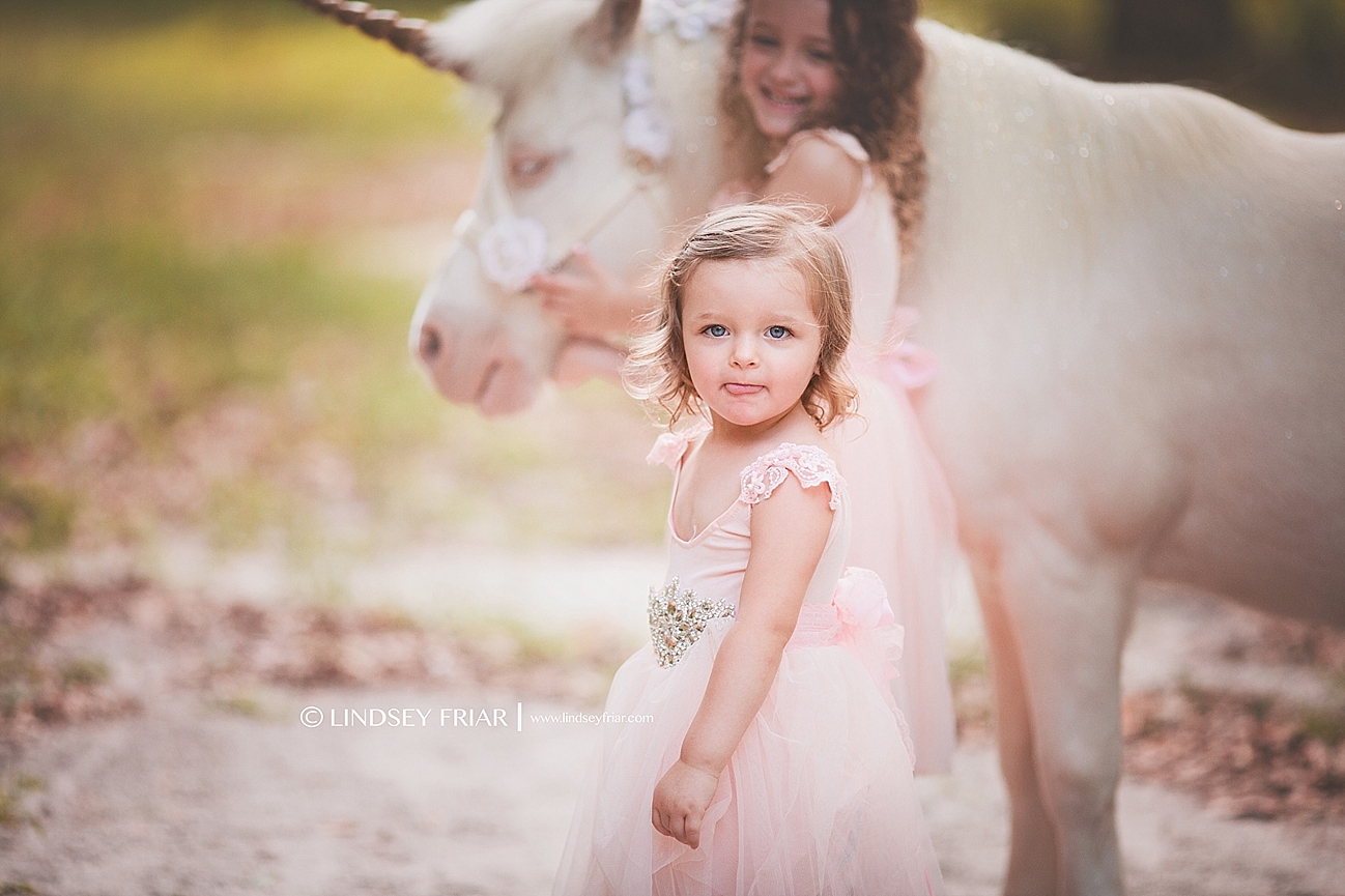 Unicorn Mini Sessions Unicorn Mini Sessions