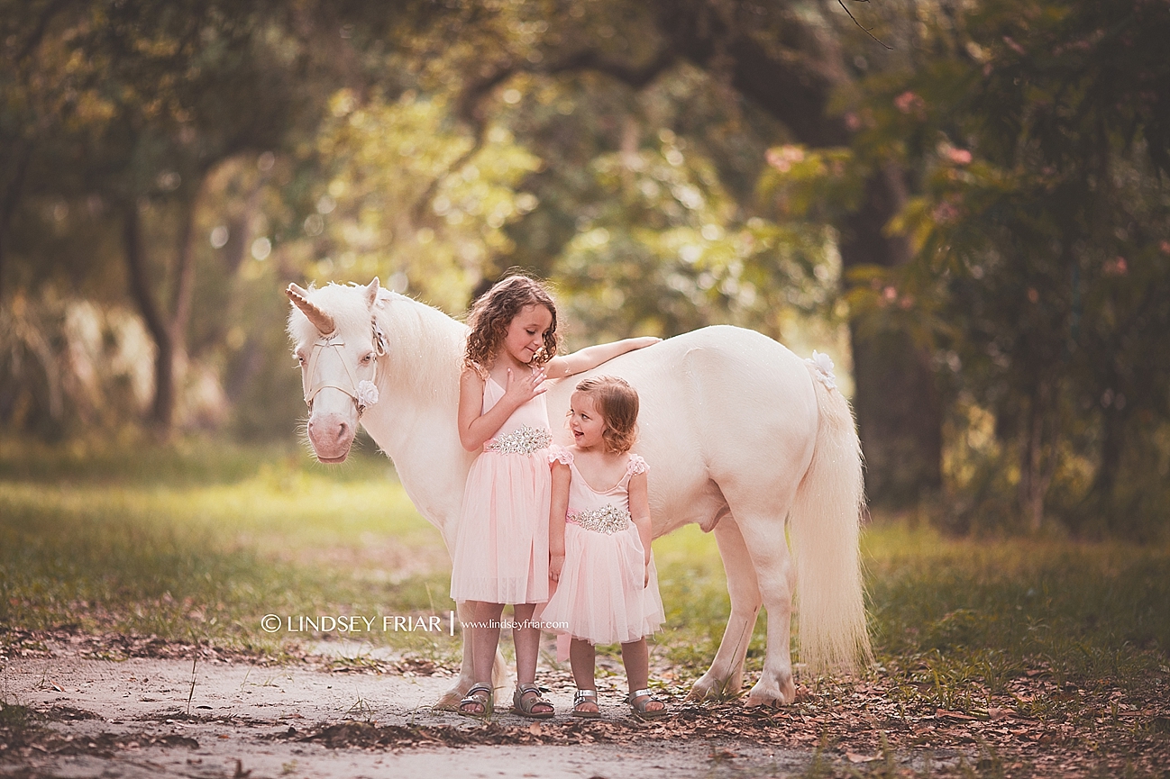 Unicorn Mini Sessions Unicorn Mini Sessions