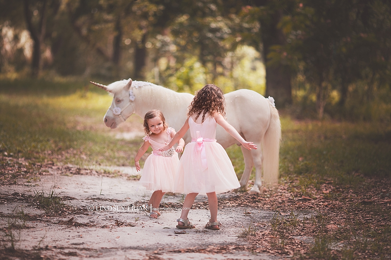 Unicorn Mini Sessions Unicorn Mini Sessions