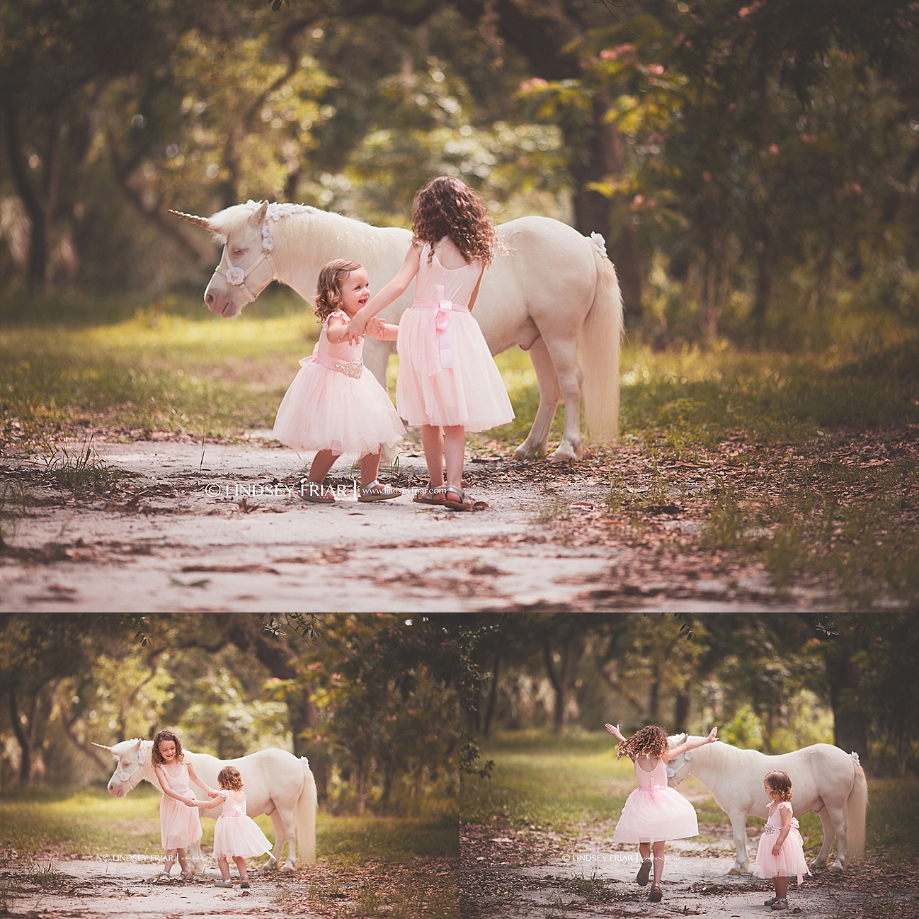 Unicorn Mini Sessions Unicorn Mini Sessions