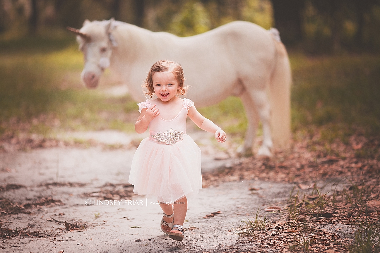 Unicorn Mini Sessions Unicorn Mini Sessions