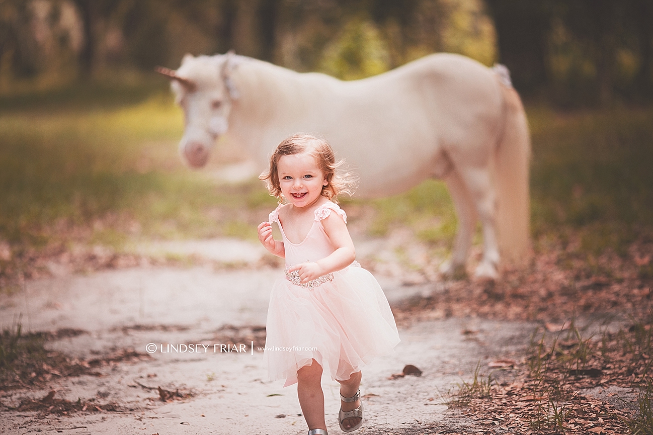 Unicorn Mini Sessions Unicorn Mini Sessions