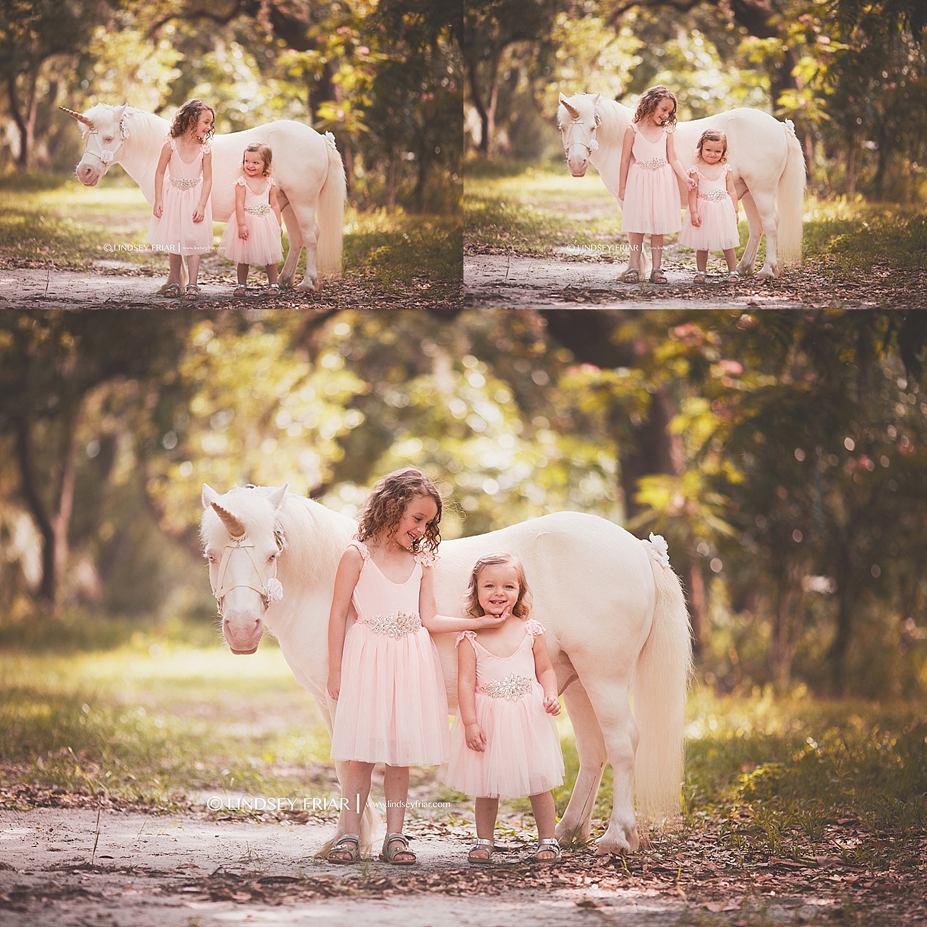 Unicorn Mini Sessions Unicorn Mini Sessions