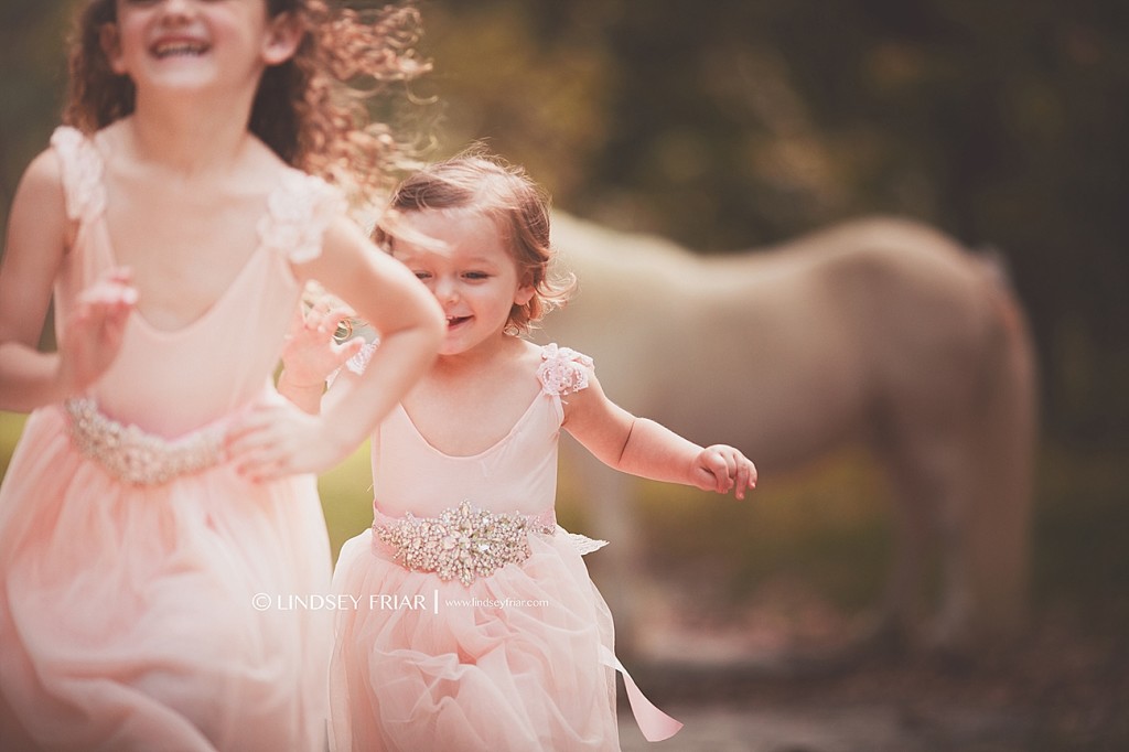 Unicorn Mini Sessions