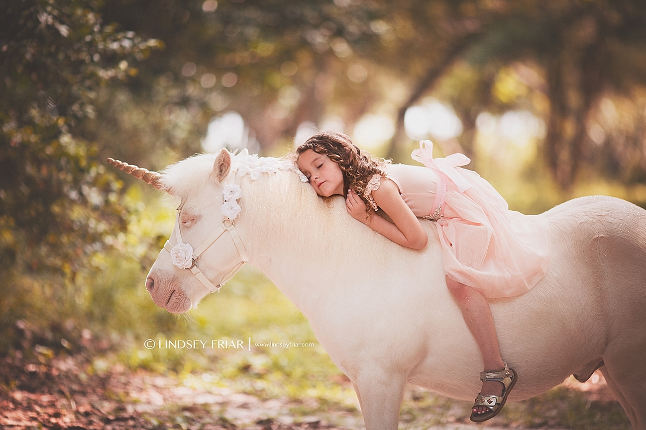 Unicorn Mini Sessions Unicorn Mini Sessions