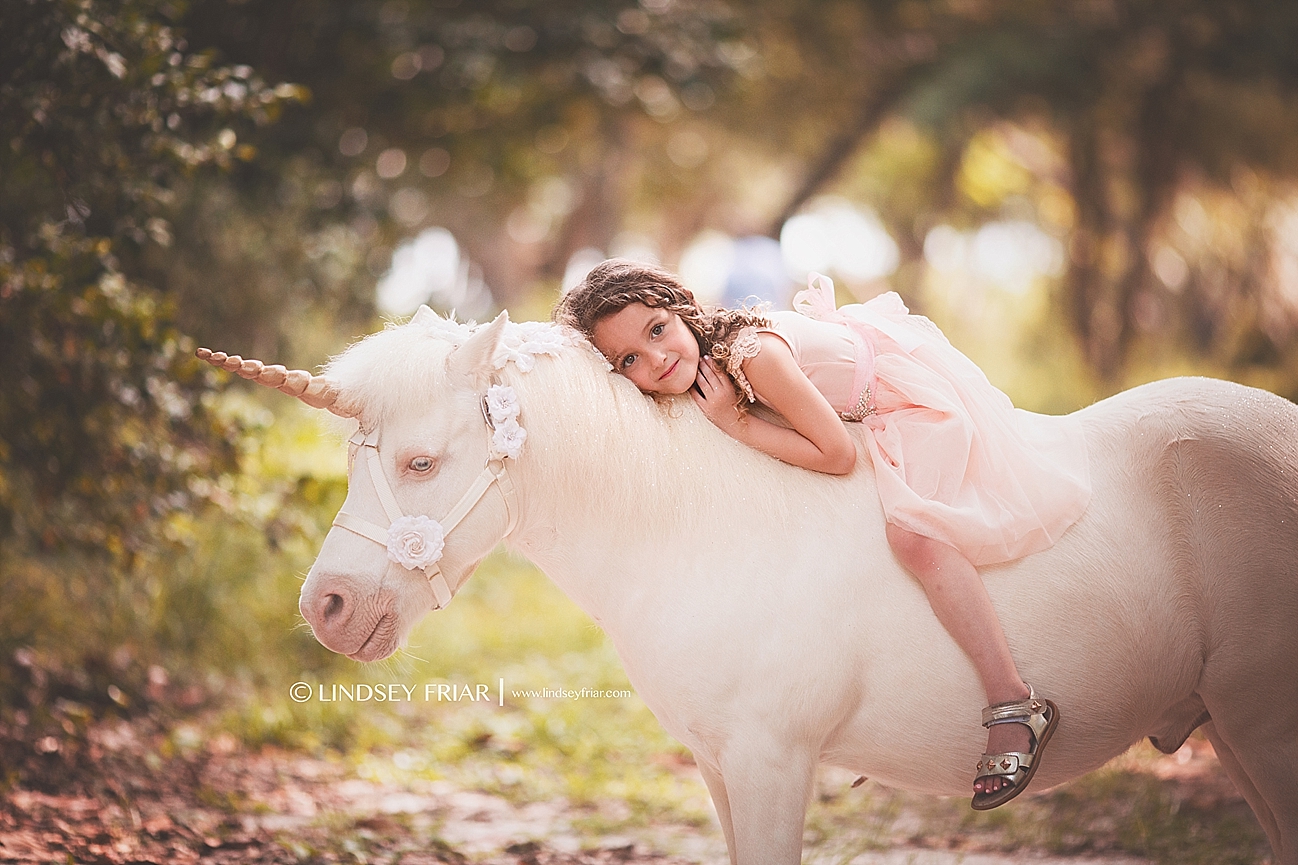 Unicorn Mini Sessions Unicorn Mini Sessions