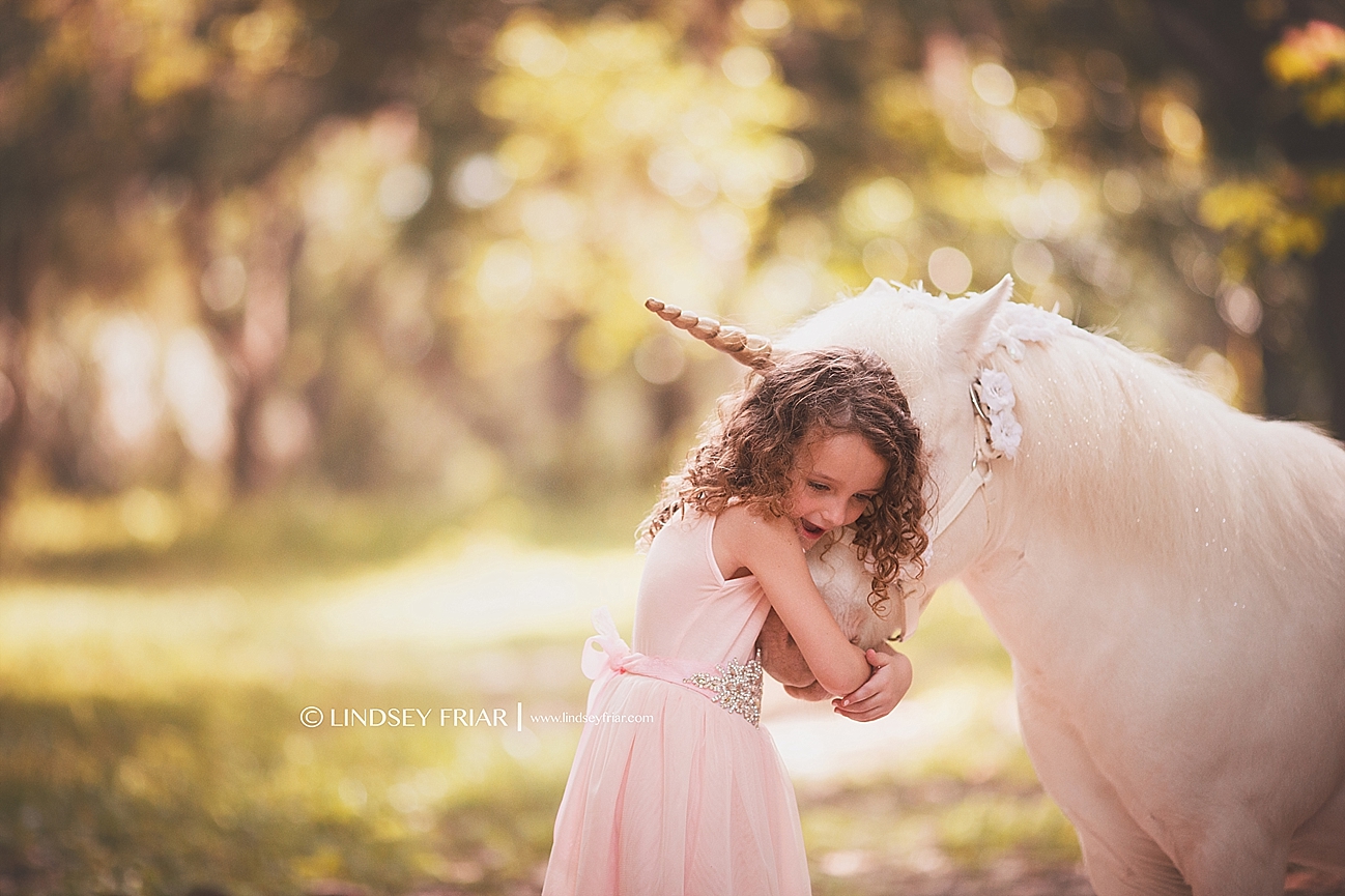Unicorn Mini Sessions Unicorn Mini Sessions