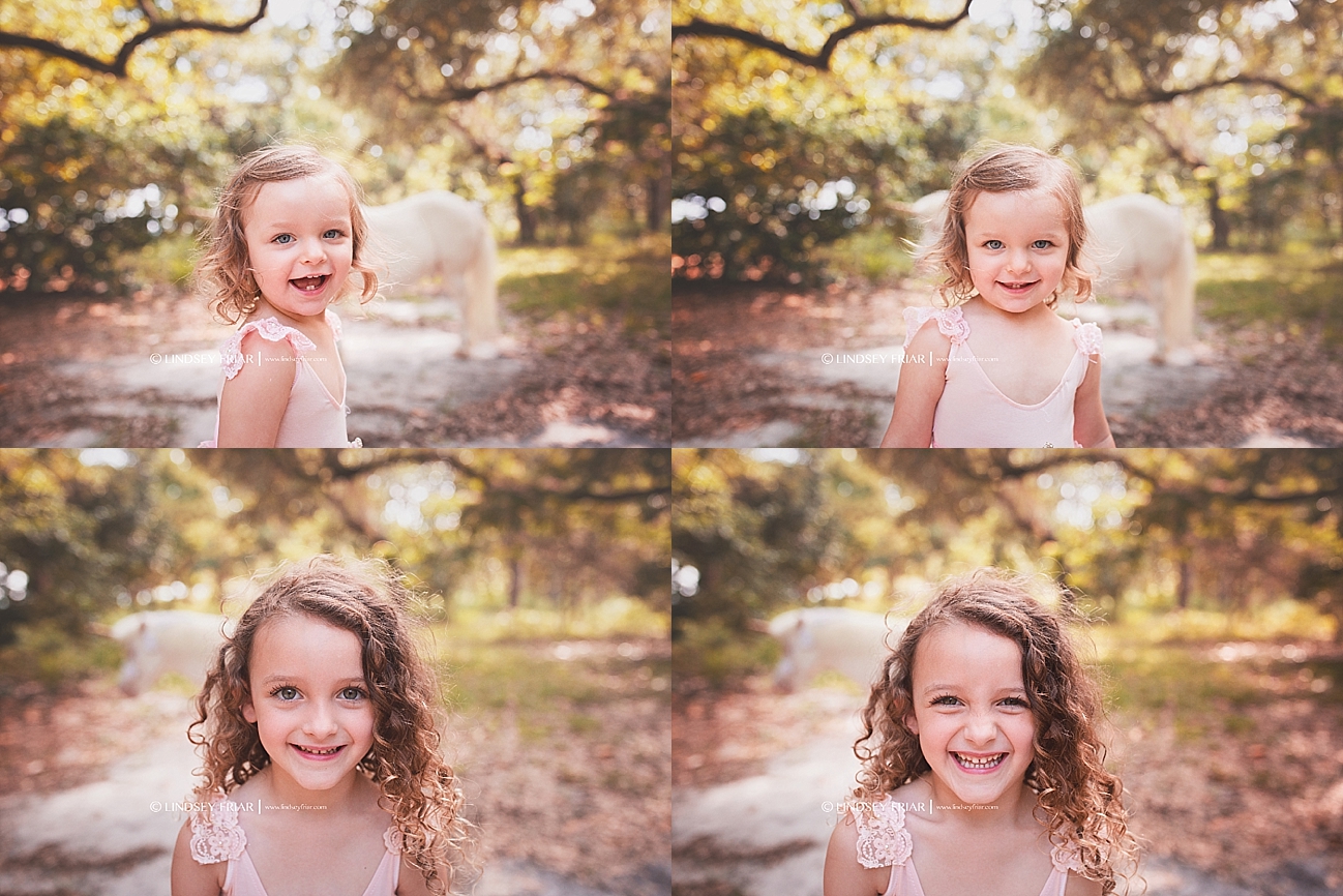 Unicorn Mini Sessions Unicorn Mini Sessions