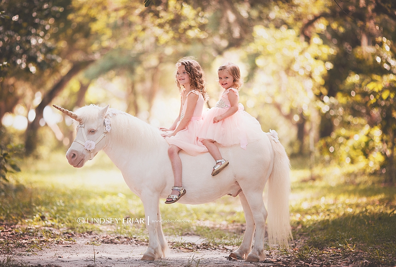 Unicorn Mini Sessions Unicorn Mini Sessions