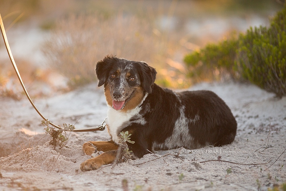 Maternity Photographer - Pensacola Beach