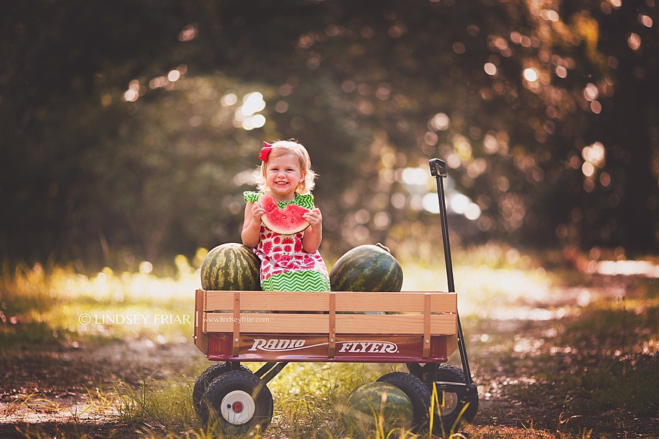 Watermelon Mini Sessions Watermelon Mini Sessions