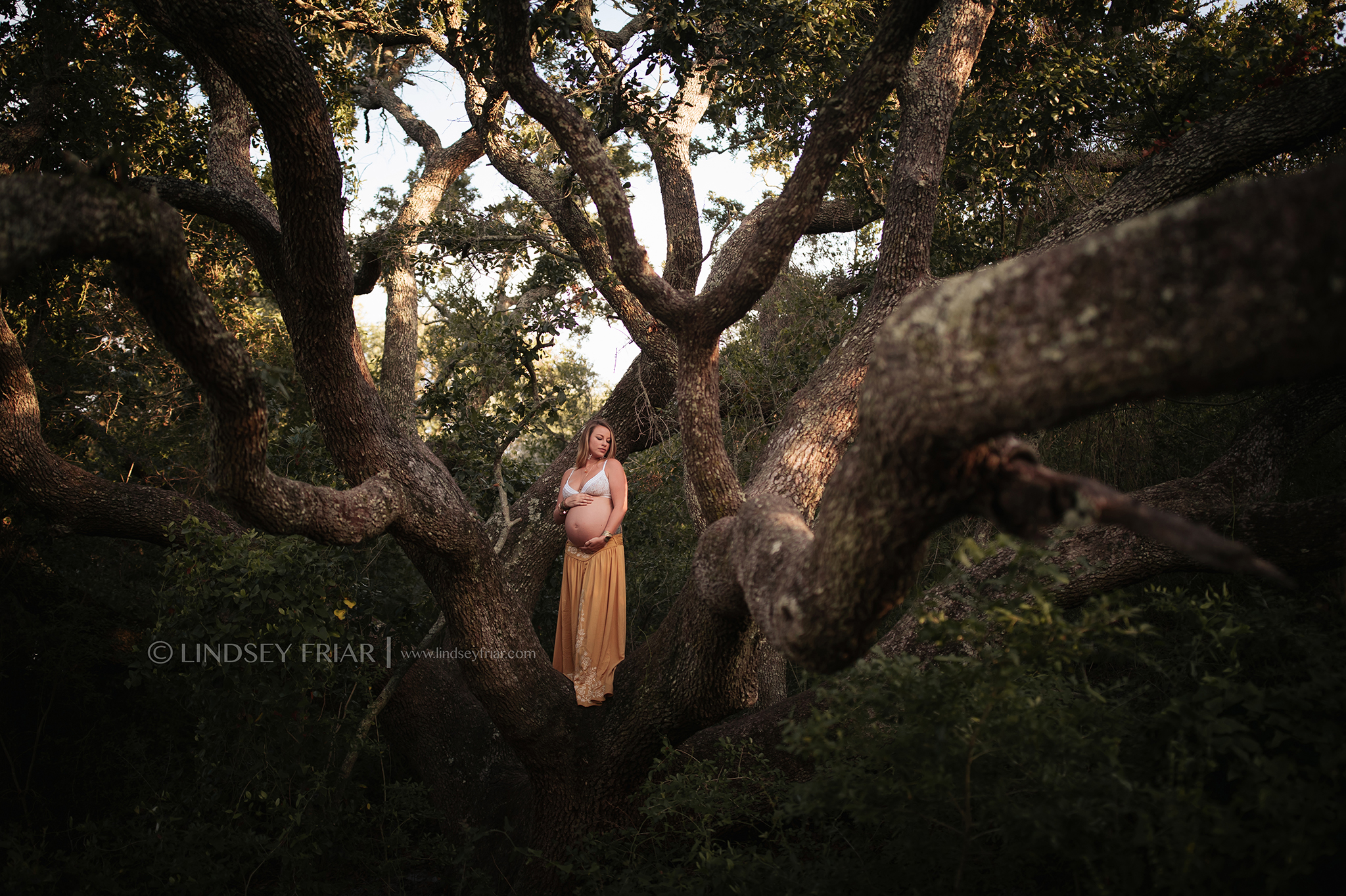 Maternity Photographer - Pensacola Beach