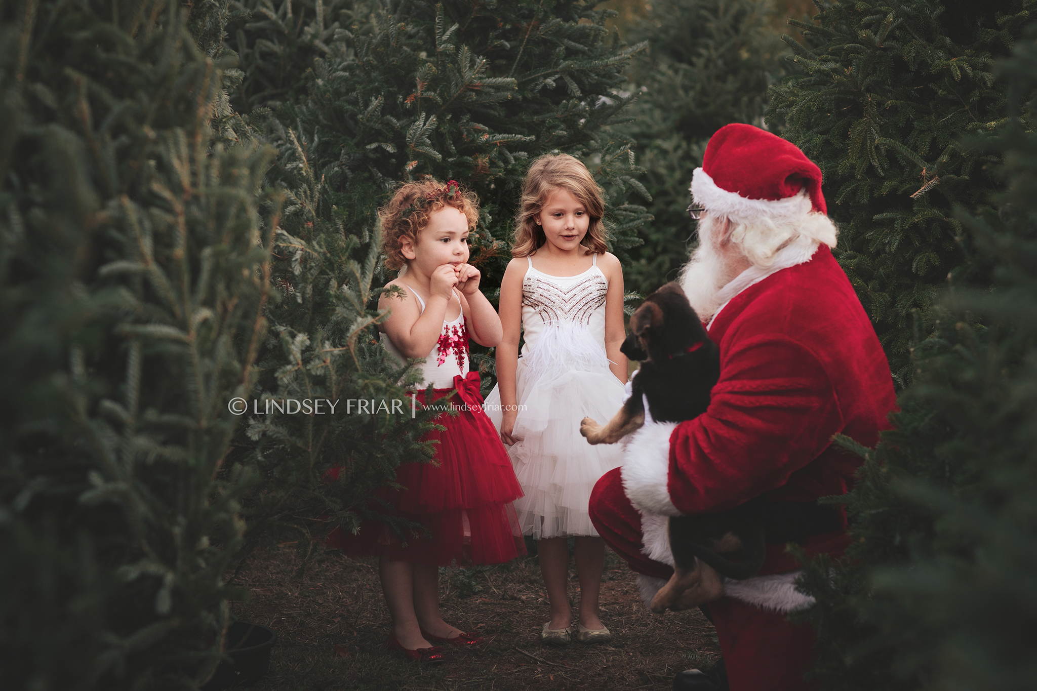 Gulf Breeze Florida Family Photographer