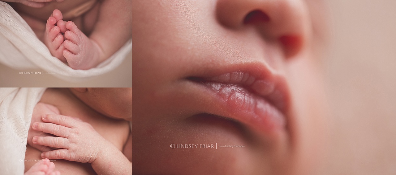 Oliver {10 days old} - Pensacola, Florida Newborn Photographer Pensacola, Florida Newborn Photographer
