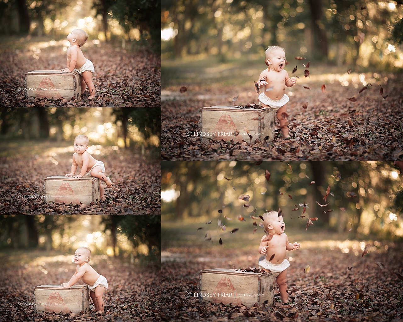 Gulf Breeze Baby Photographer
