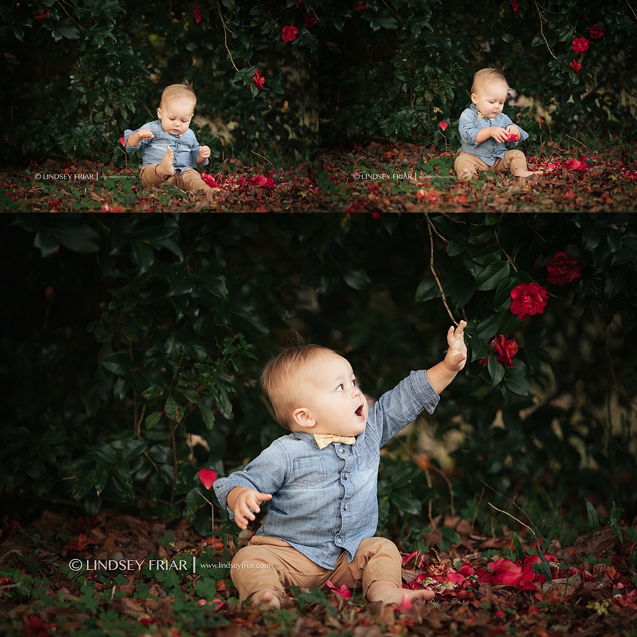 Gulf Breeze Baby Photographer